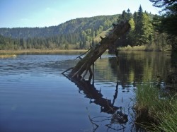 Lac de Lispach