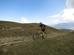 VTT-8079