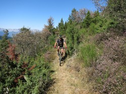 descente sous l'arborétum