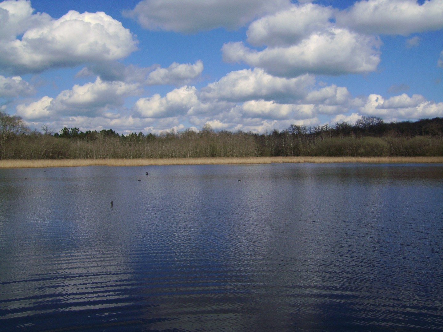 Lacs et étangs