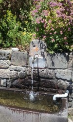 Potable!