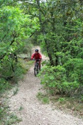 VTT-487