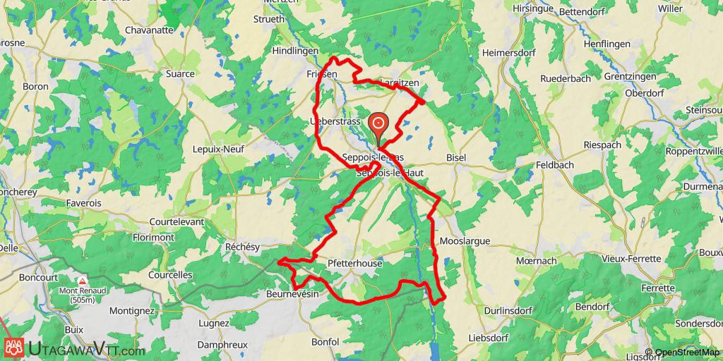 Quelques singles autour de Seppois-le-Bas