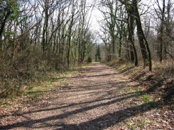 Bois de Givray