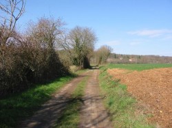 Chemin après Moulin