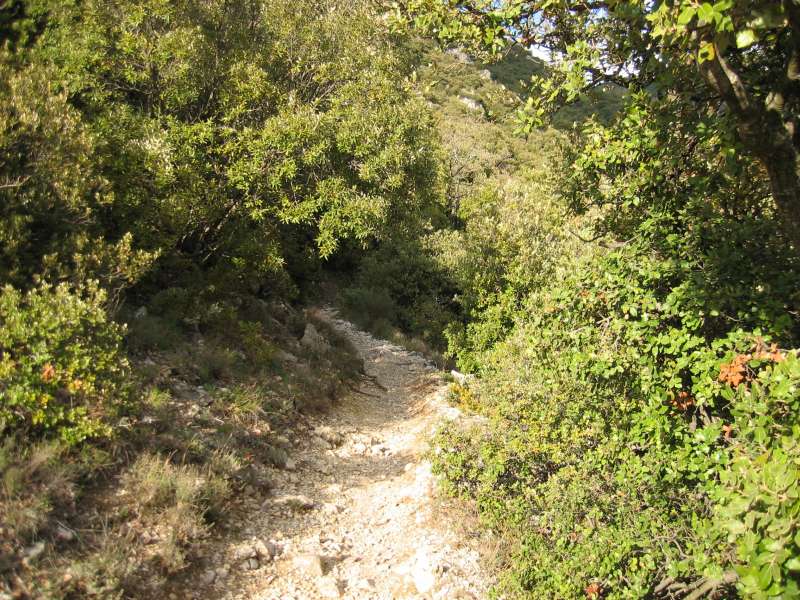 Mont Ventoux (face nord) - Vaison-la-Romaine