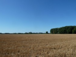 La Brie dans le Val de Marne vers Mandres les Roses.