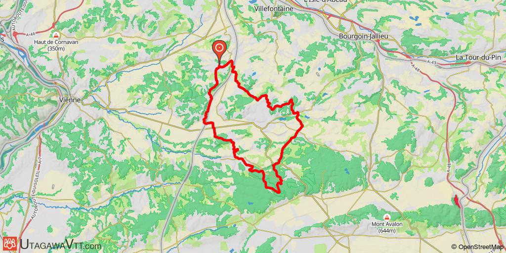 Forêt de Bonnevaux