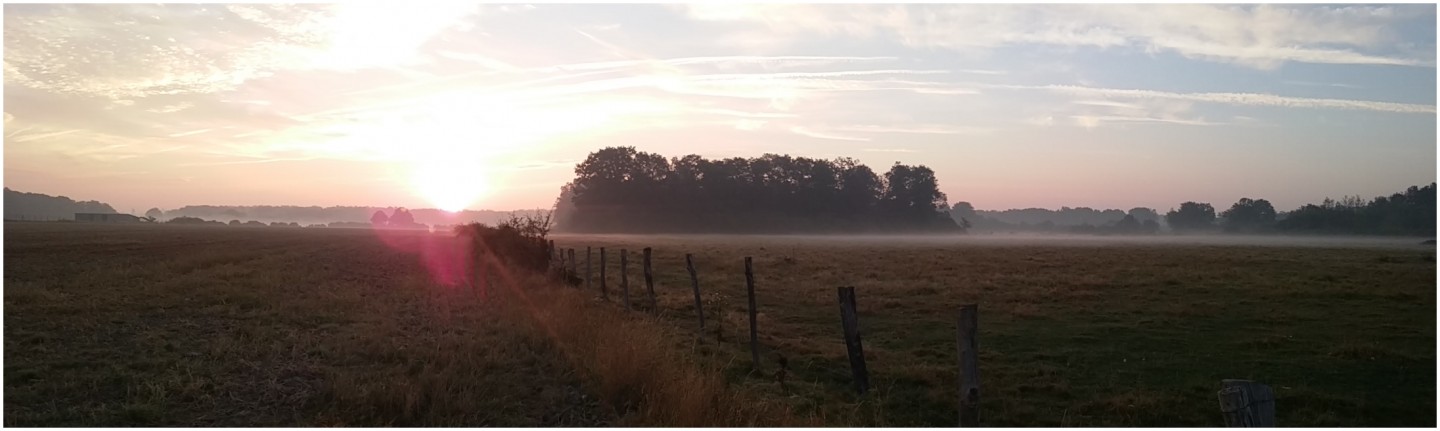 Entre Rambouillet et Saint-Arnoult-en-Yvelines