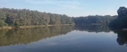 Etang d'Or