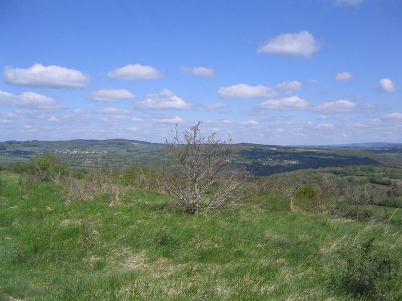 Combronde 2007 - 60 km