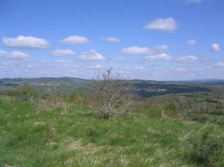 La Campagne de Tazenat