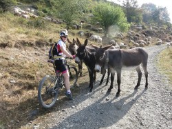 sur la piste du jas d'auris