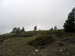 VTT-510