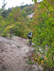 VTT-520