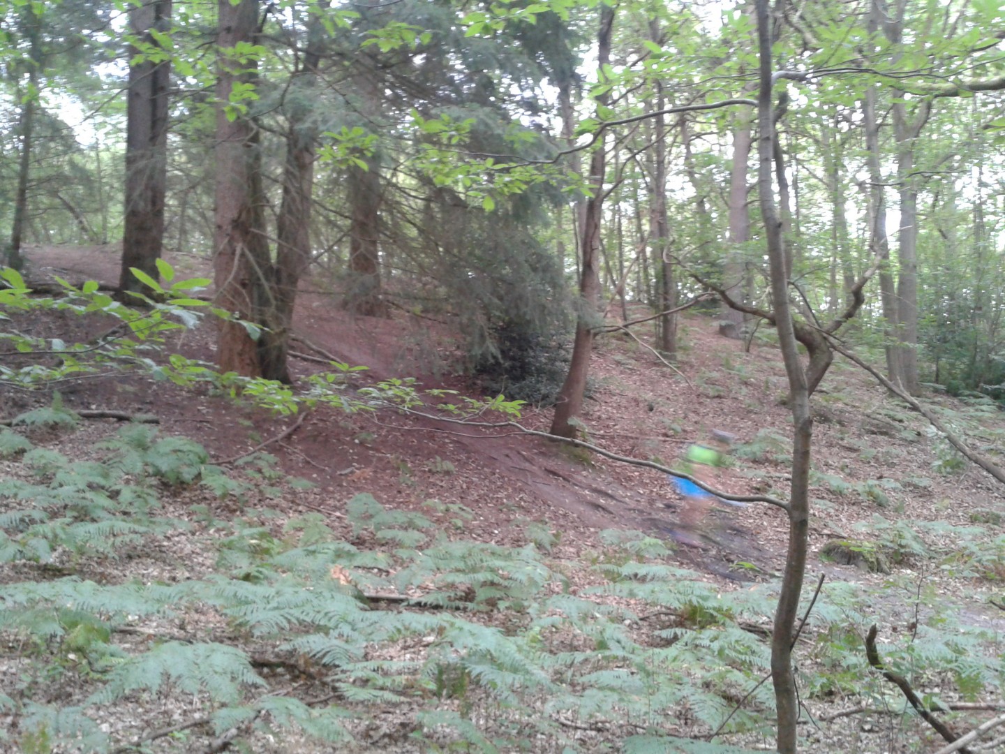 Le Bon St-Arnoult 2016 - 50 km