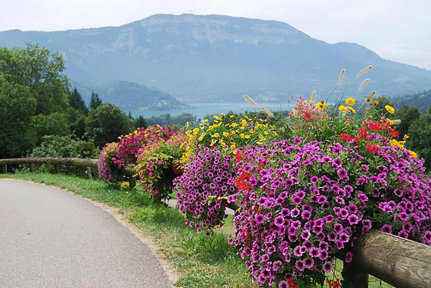 VTT-FFCT - Pays du lac d'Aiguebelette - N°2 : Boucle de Nances (verte)