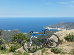 VTT-8256
