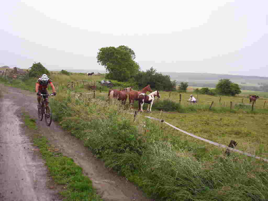 Randonnée 2007 du PNR du Vexin français – 60 km