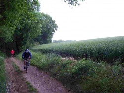 A la sortie de la forêt