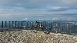 VTT-8282