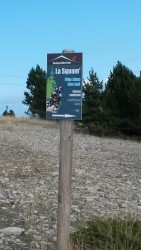 VTT-8284