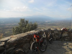 VTT-8317