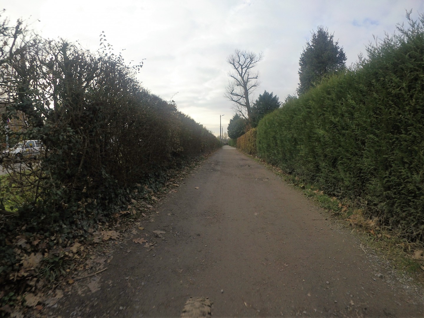 Hem - Marque-à-l'Arbre