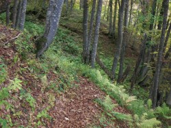 descente bien ludique