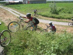 VTT-528