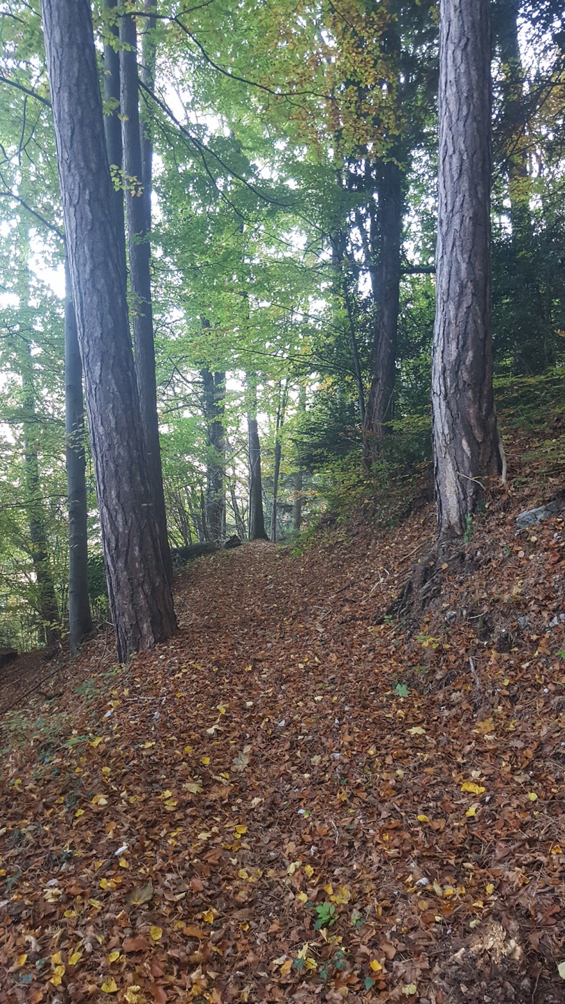 Montée par la route d'Ezy et épingles de la Cuche