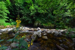 La Dunière à Vaubarlet Sainte-Sigolène - crédit photo Jean-Claude Parayre/OTIMV