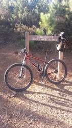 VTT-8567