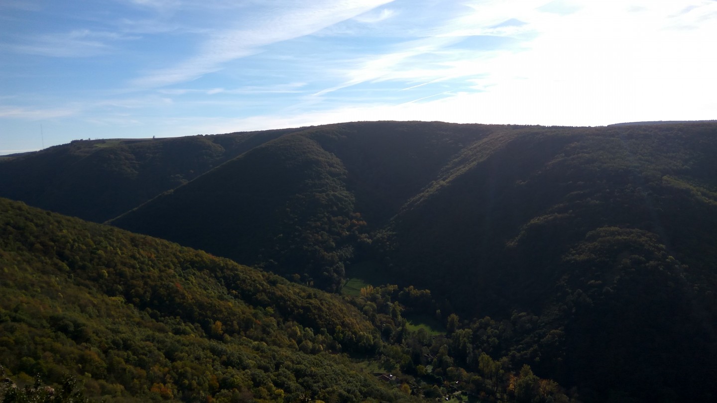 De Durfort aux Cammazes