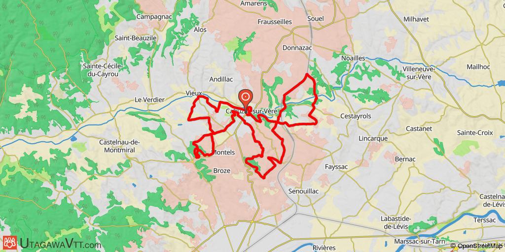 Cahuzac-sur-Vère 2015 - 40 km
