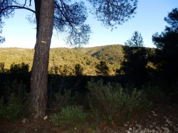 Tracé jaune qui revient vers la voie ferrée. Saint-Sépulcre (alt. 589 m) en arrière plan.