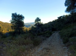 Sur le tracé jaune