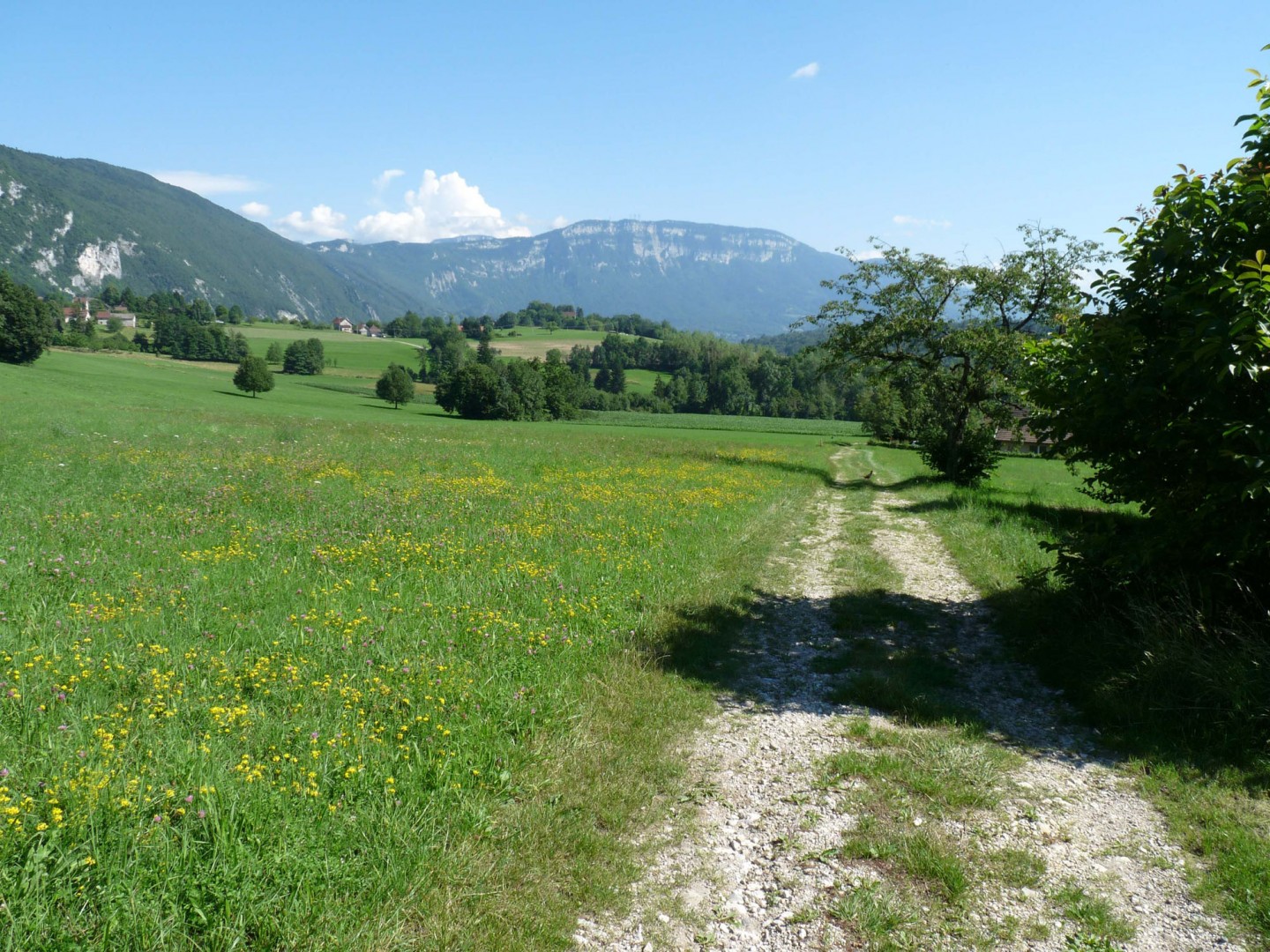 VTT-FFCT Pays du lac d'Aiguebelette - N°5 : Col de la Crusille