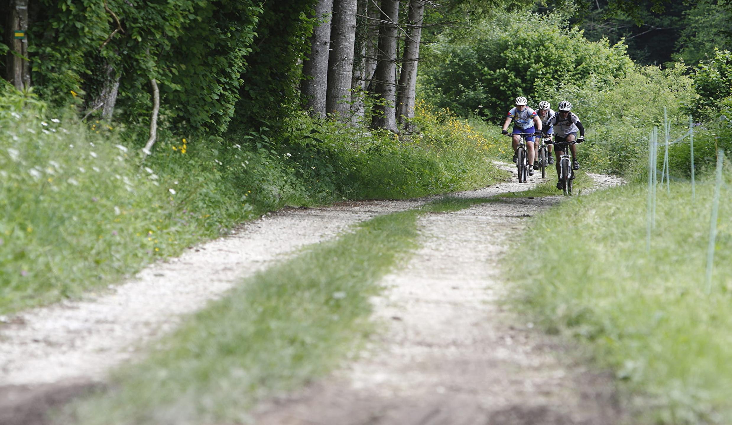 VTT-FFCT - Pays du lac d'Aiguebelette - Circuit N°9 : Boucle du Banchet
