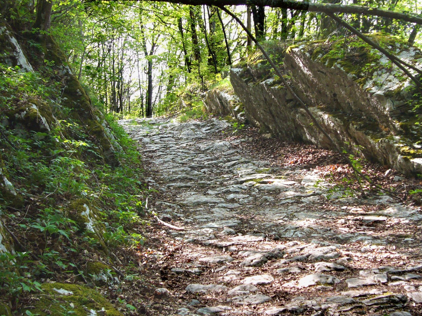 VTT-FFCT - Pays du lac d'Aiguebelette - Circuit N°7 : La Voie Sarde