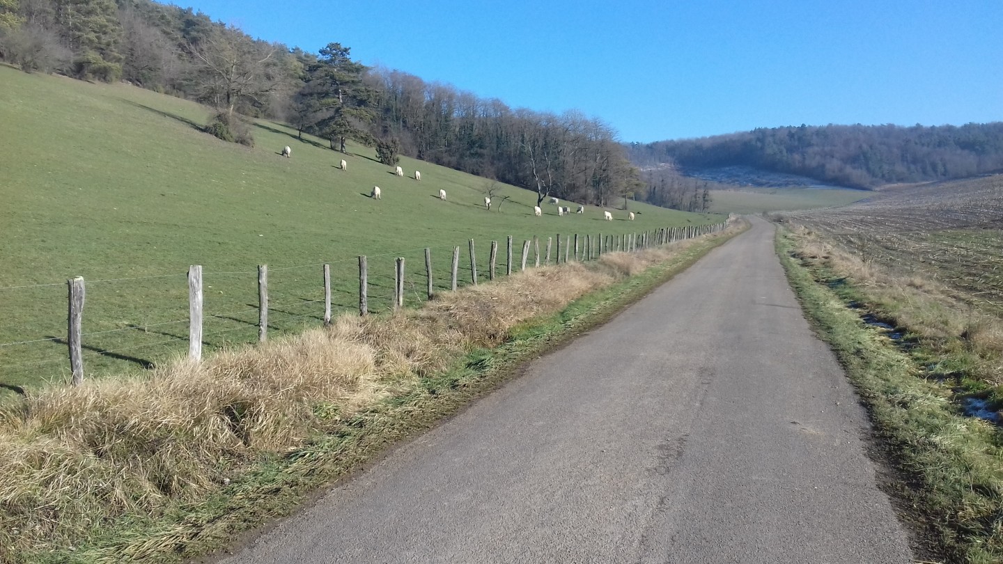 Entre colline et canal sur les traces de Jeanne d'Arc