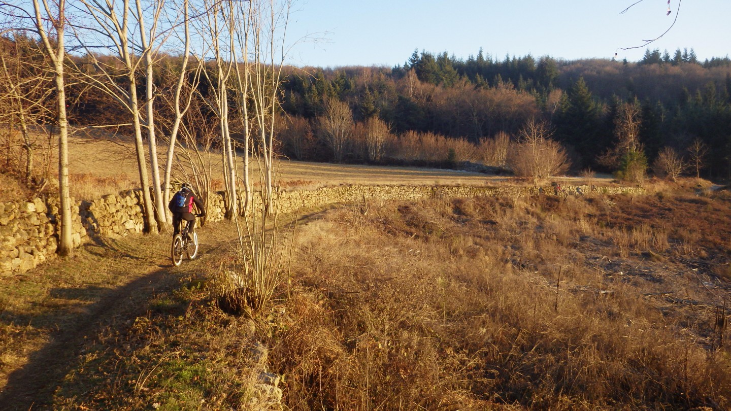 Dans le Parc du Pilat