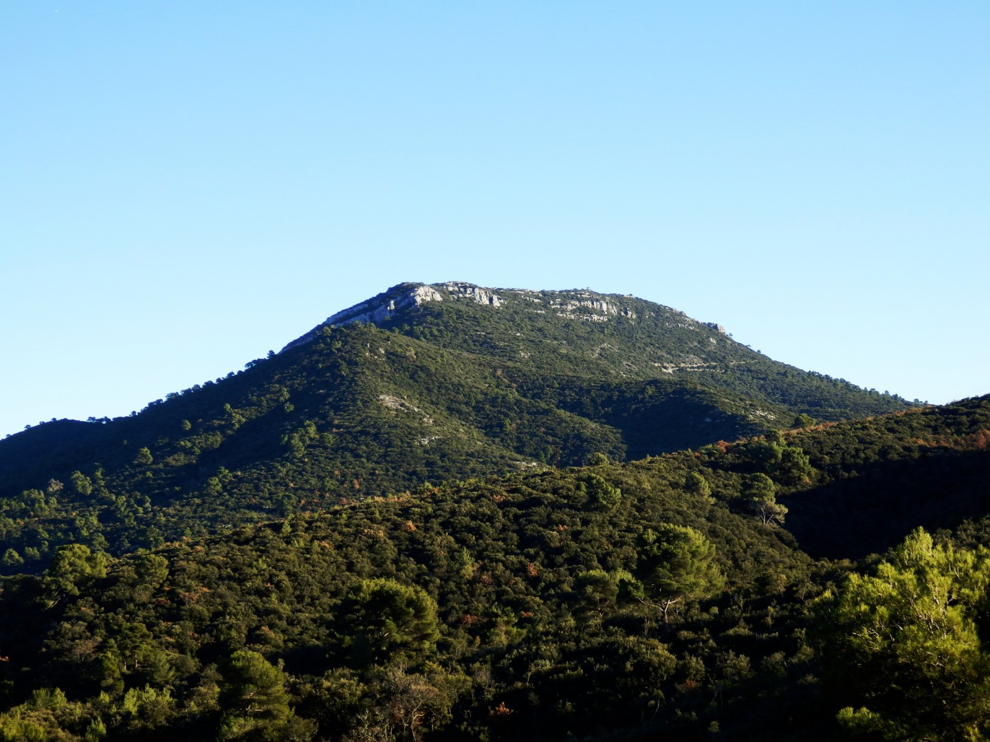 Forêt de Loubatas
