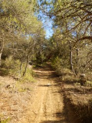 Sentier de découverte, le long de la carrière de Peyrolles