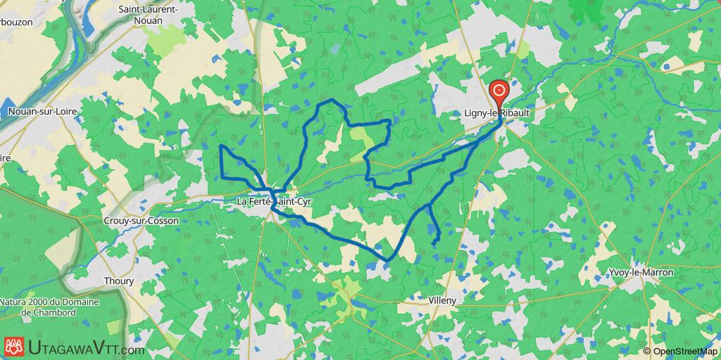Sur les traces des cervidés entre Ligny et la Ferté