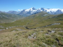 Descente en Free Ride