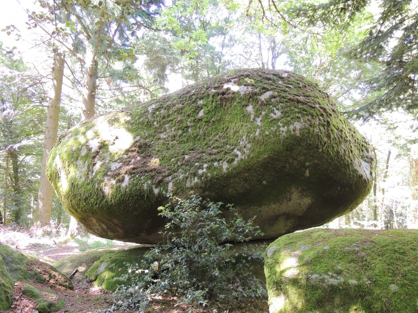 Site VTT-FFC des Monts de Guéret - Circuit n°18