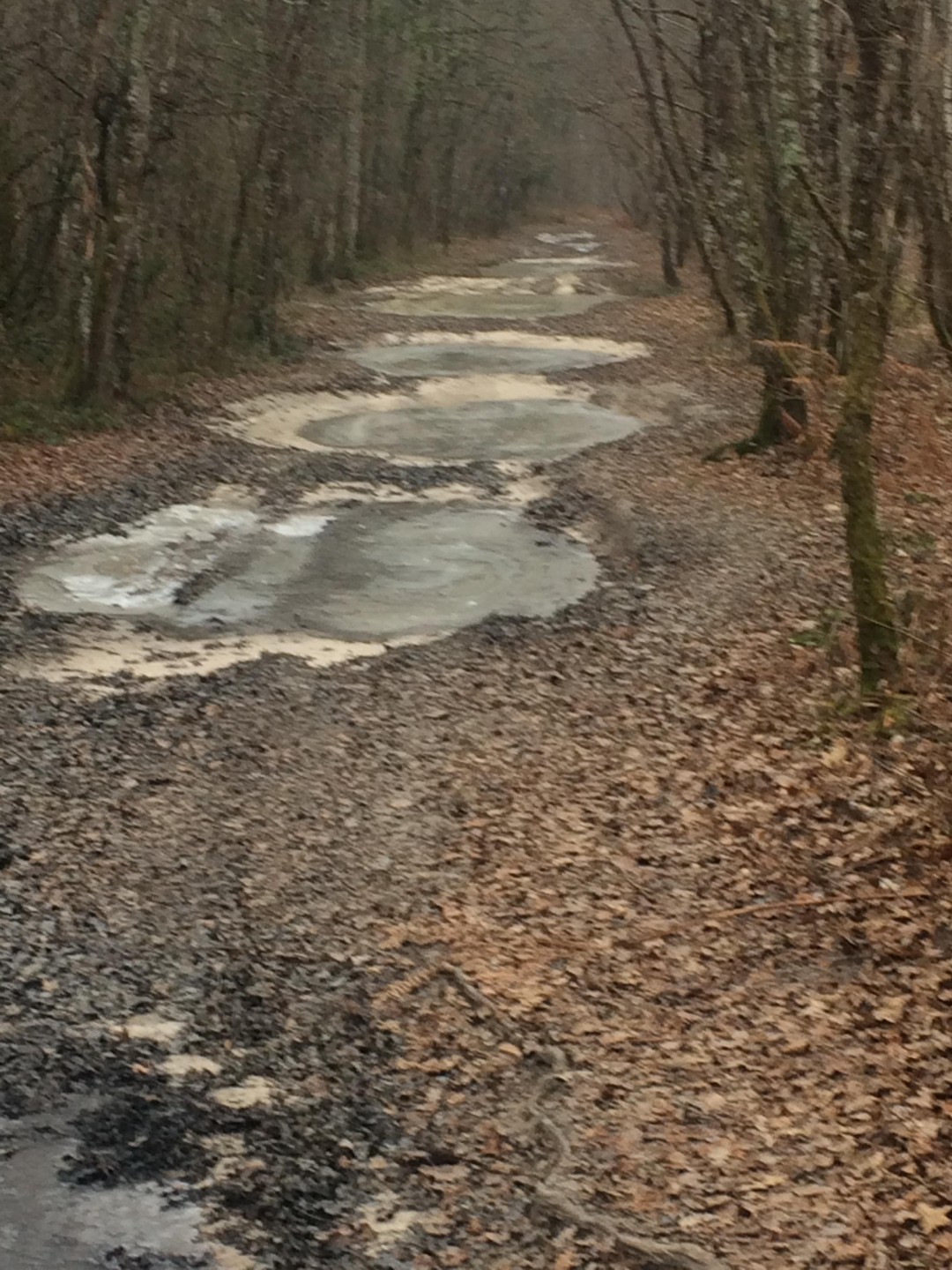 Coullons - Etang du Puits - Argent - Cerdon - Coullons