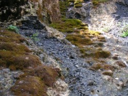 Dans la montée vers le lac des Evettes