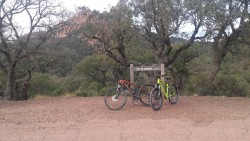 VTT-9124